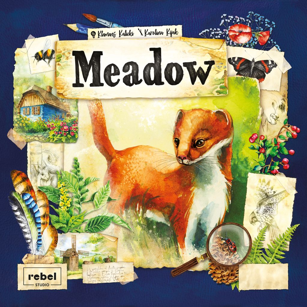 Meadow (cutie lovita)